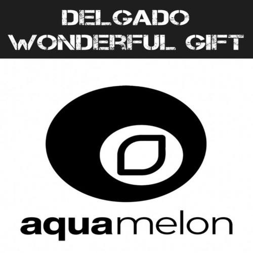 Delgado-Wonderful Gift