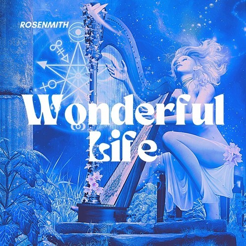 Wonderful Life