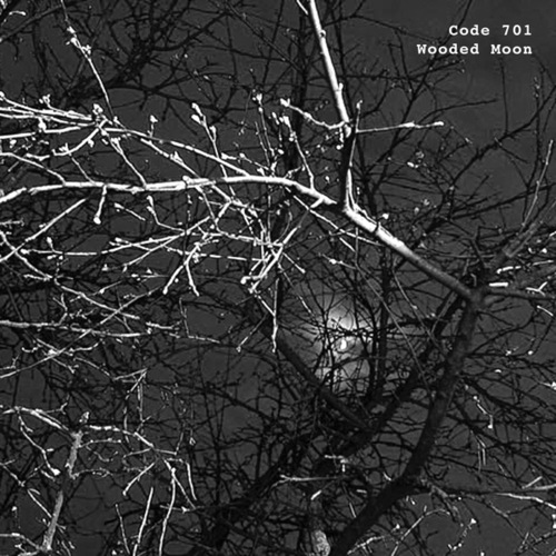 Code 701, Norberto Lusso-Wooded Moon