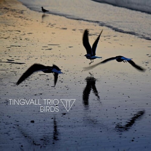 Tingvall Trio-Woodpecker