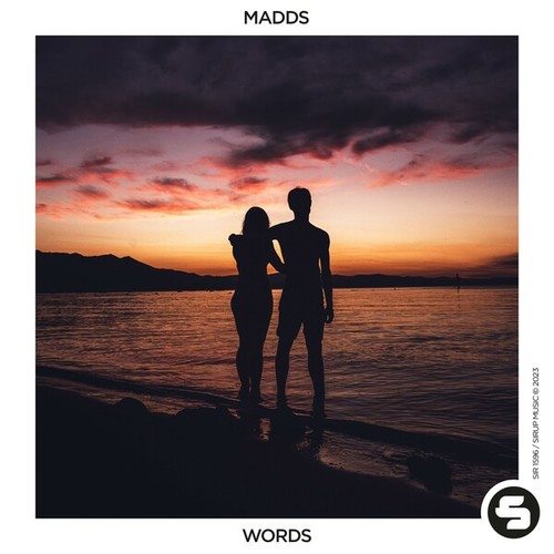 MADDS-Words