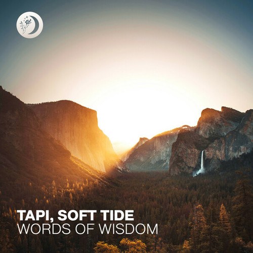 TAPI, Soft Tide-Words of Wisdom