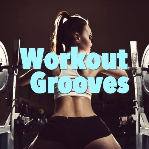 Various Artists-Workout Grooves