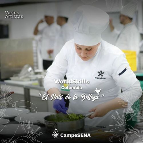 Sena Al Aire-Worldskills