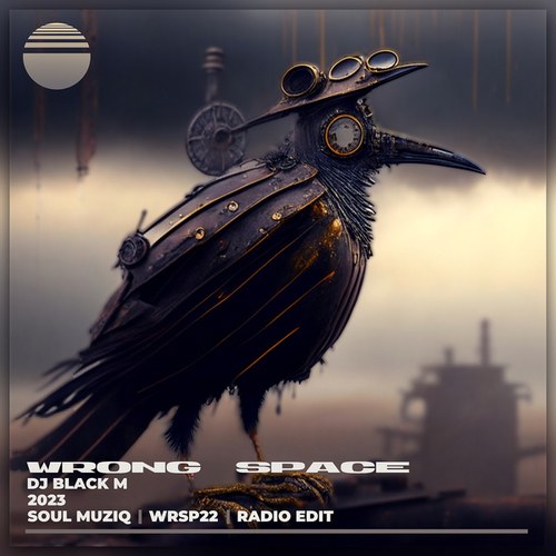 Dj Black M-Wrong Space (Radio-Edit)