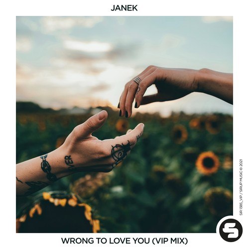 Wrong to Love You (VIP Mix)
