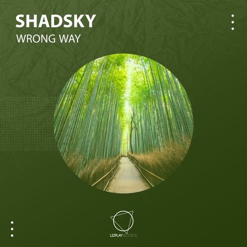 Shadsky-Wrong Way