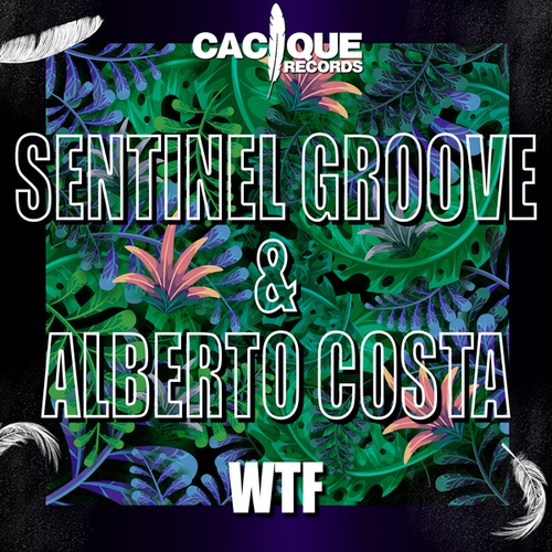 ALBERTO COSTA, Sentinel Groove-Wtf