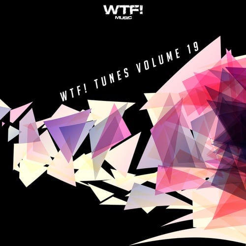 Various Artists-WTF! Tunes, Vol. 19