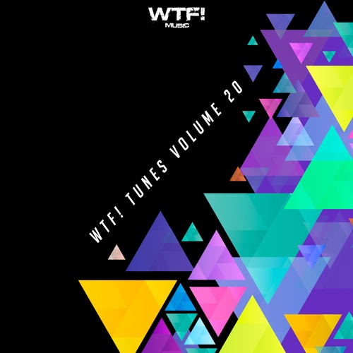 Various Artists-WTF! Tunes, Vol. 20