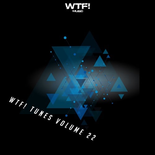 Various Artists-Wtf! Tunes, Vol. 22