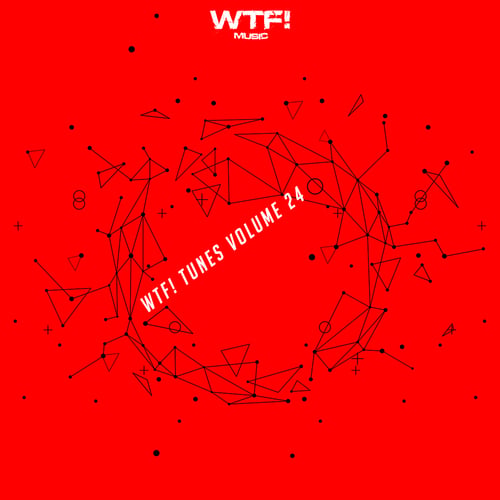 Various Artists-Wtf! Tunes, Vol. 24