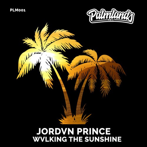 Jordvn Prince-Wvlking the Sunshine