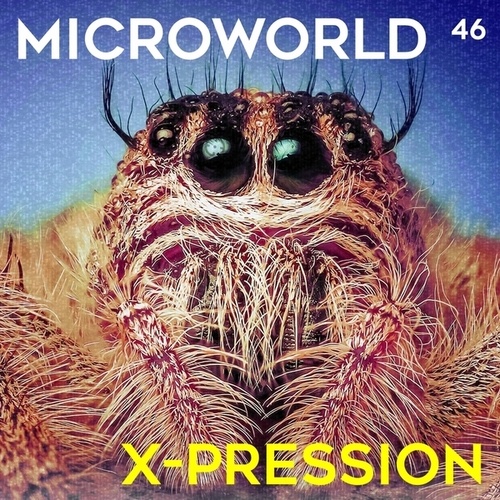 Microworld, Dark Distorted, Jens Lissat-X-Pression 2023