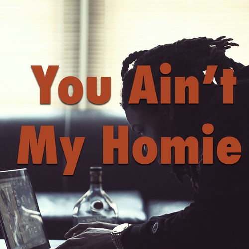 Various Artists-You Ain't My Homie