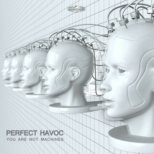 Perfect Havoc-You Are Not Machines