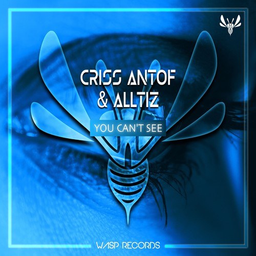 Criss Antof, Alltiz-You Can't See