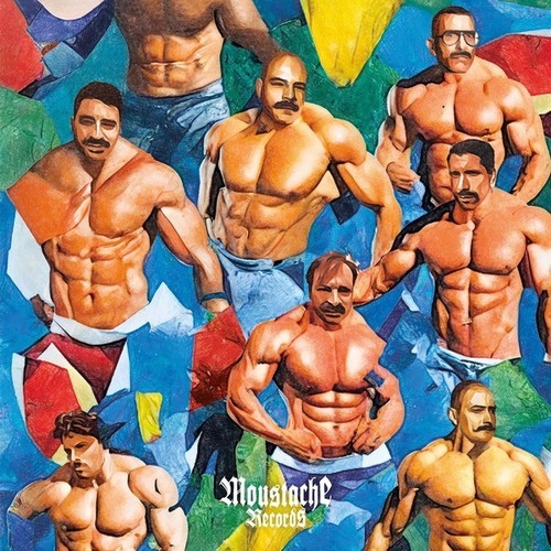 Various Artists-You Can Trust a Man with a Moustache Vol.5