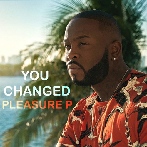 Pleasure P-You Changed