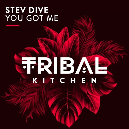 Stev Dive-You Got Me