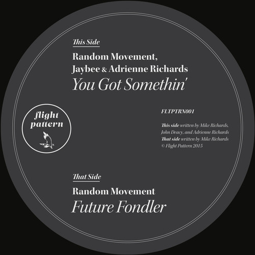 Random Movement, Adrienne Richards, Jaybee-You Got Somethin' / Future Fondler