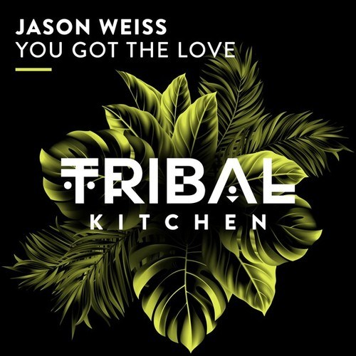 Jason Weiss-You Got the Love (Extended Mix)