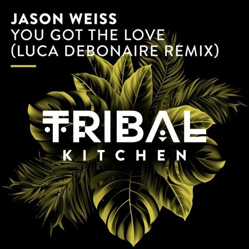 Jason Weiss, Luca Debonaire-You Got the Love (Luca Debonaire Extended Remix)
