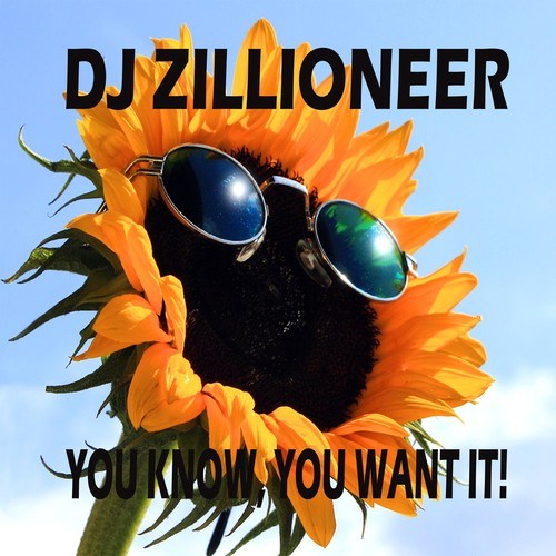 DJ Zillioneer-You Know, You Want It