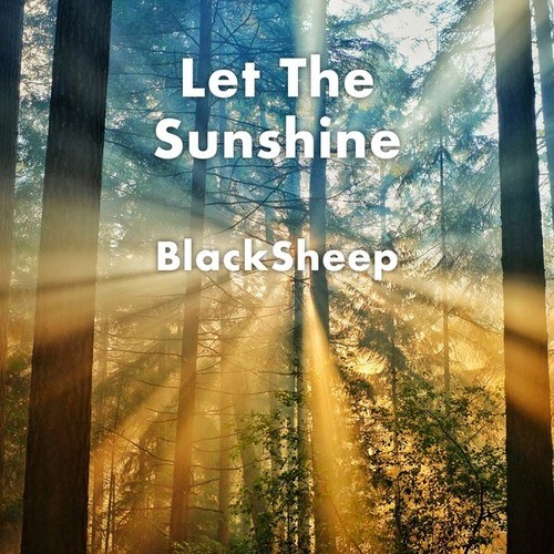 BlackSheep-You Let the Sunshine