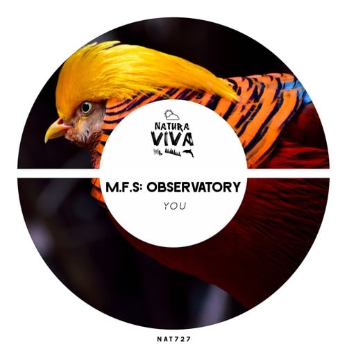 M.F.S: Observatory-You
