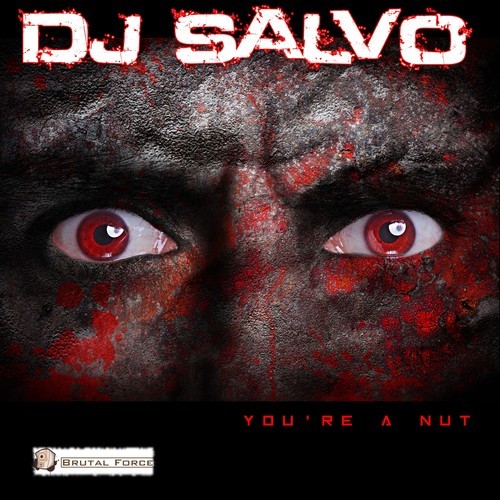 DJ Salvo-You're a Nut