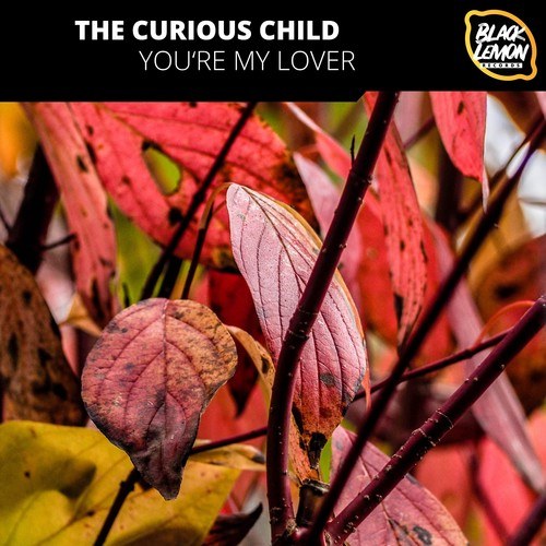 The Curious Child-You're My Lover