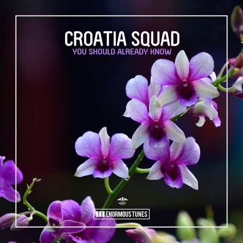 Croatia Squad-You Should Already Know