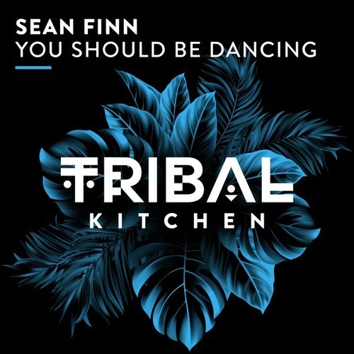 Sean Finn-You Should Be Dancing