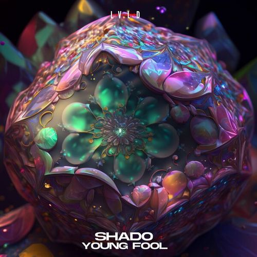 Shado-Young Fool