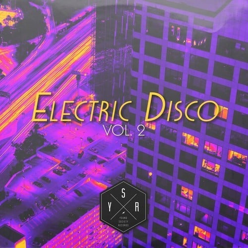 Young Society Records: Electric Disco 2