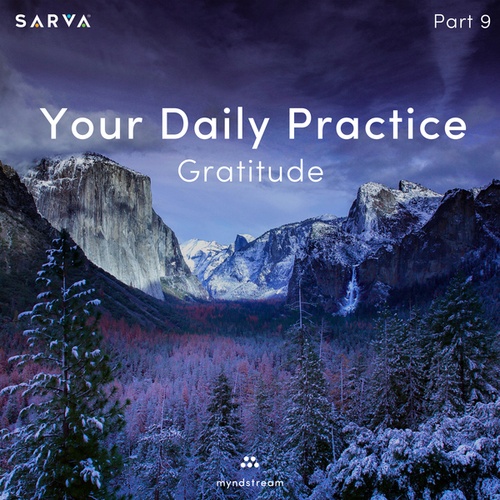 Your Daily Practice: Gratitude