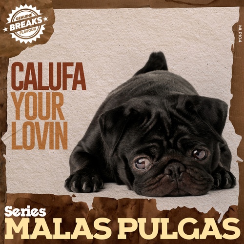 Calufa-Your Lovin