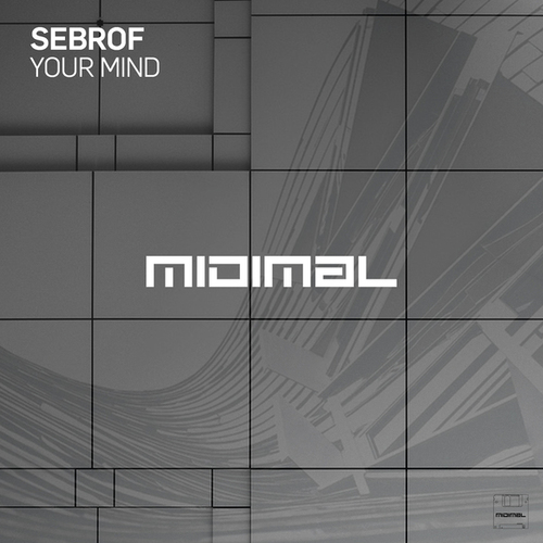 Sebrof-Your Mind