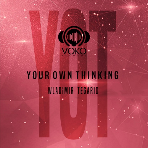 Wladimir Tegarid-YOUR OWN THINKING