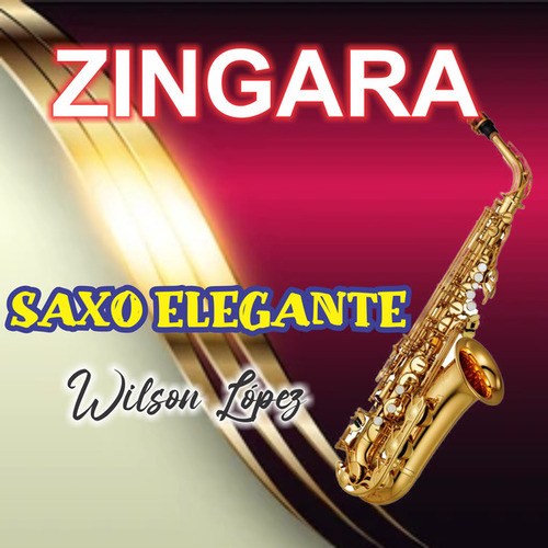 ZINGARA instrumental NICOLA DIBARI