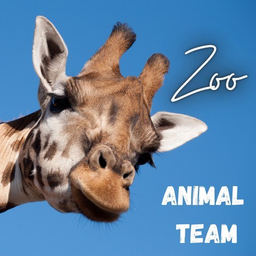 Animal Team-Zoo
