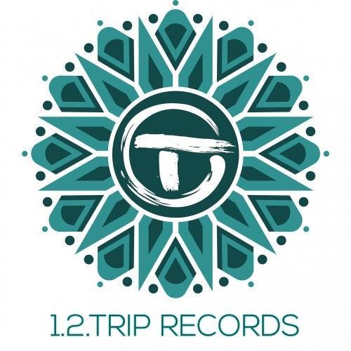 1.2.Trip Records