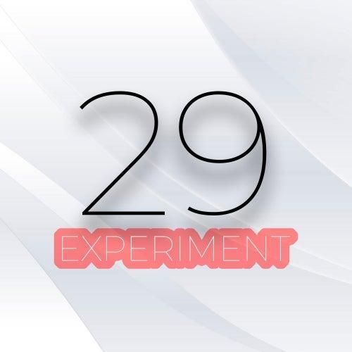 29 EXPERIMENT