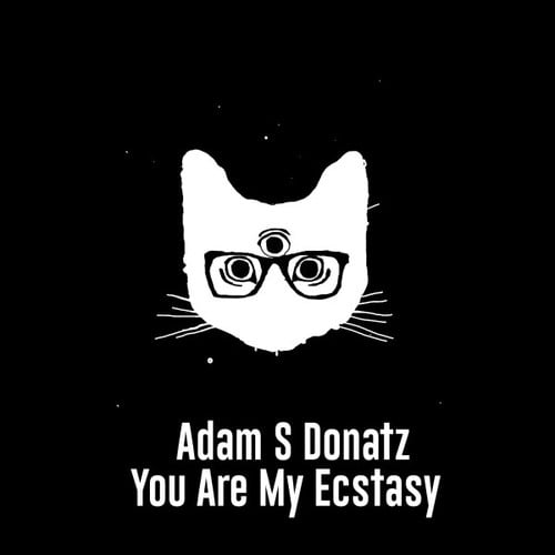 Adam S Donatz