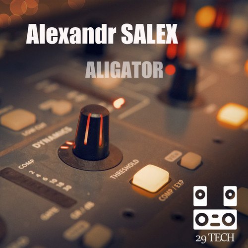 Alexandr SALEX