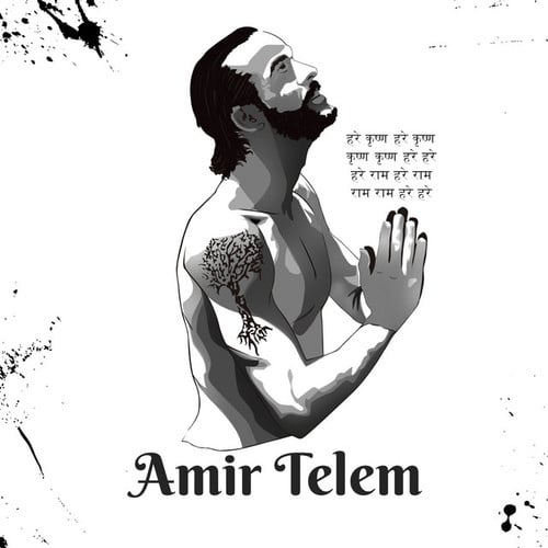 Amir Telem