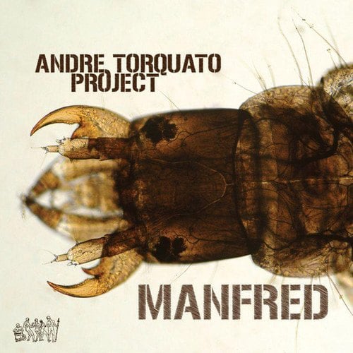 Andre Torquato Project