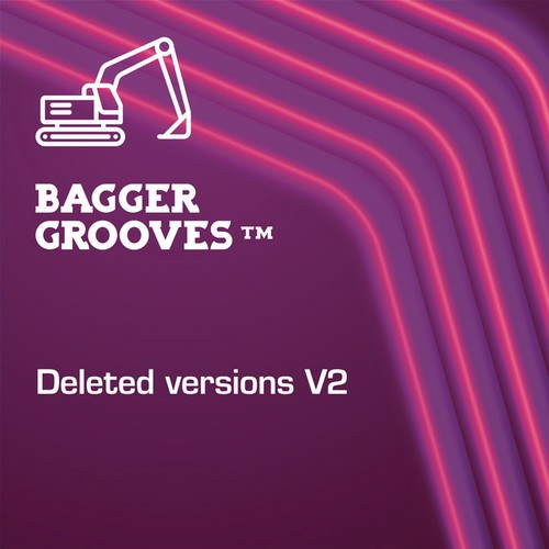 Bagger Grooves TM