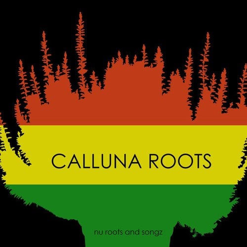 Calluna Roots
